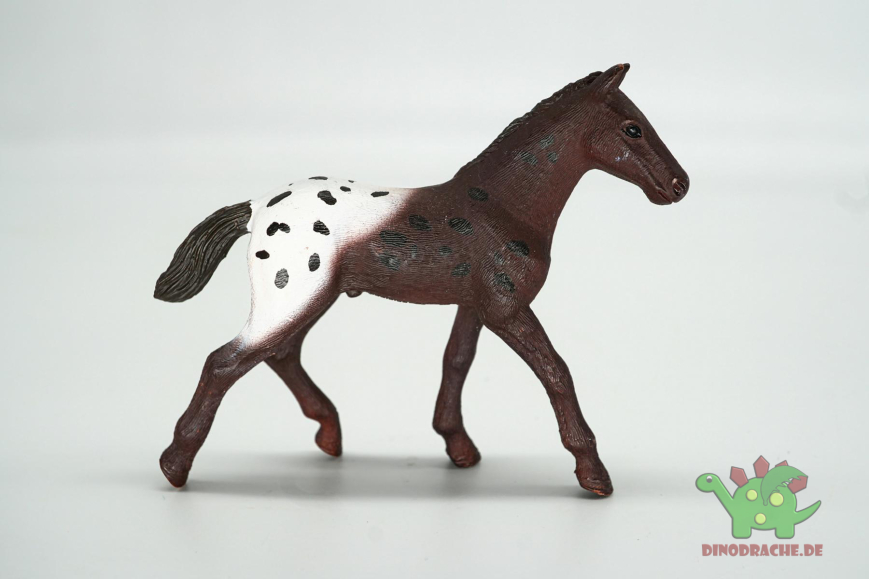 Schleich Appaloosa Fohlen